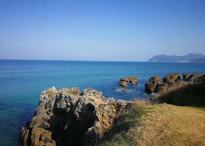 Gran Socaire De Noja