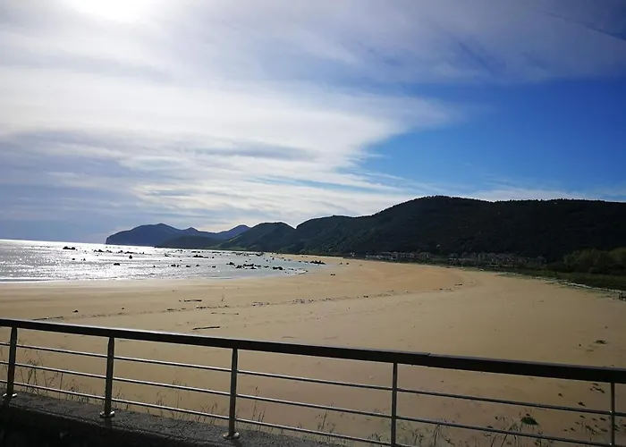 Gran Socaire De Noja