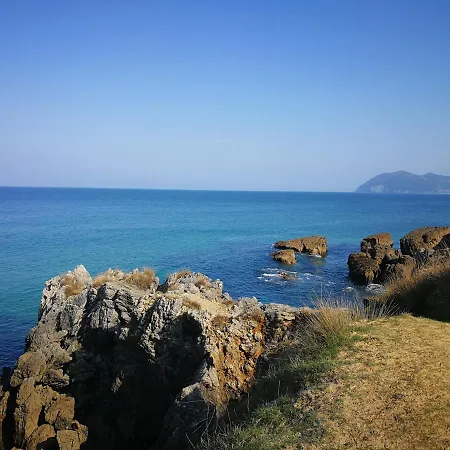 Gran Socaire De Noja